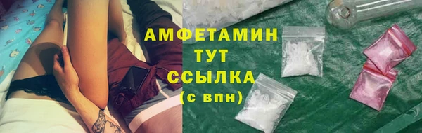 ПСИЛОЦИБИНОВЫЕ ГРИБЫ Бородино