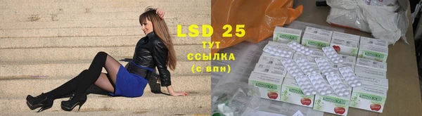 скорость Шали