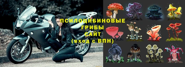 Альфа ПВП Шадринск