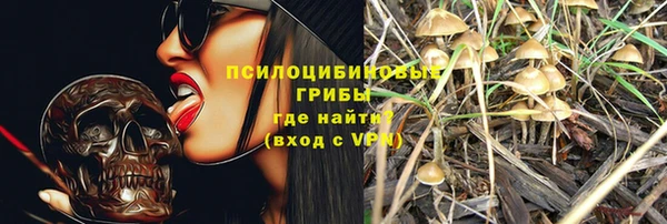 скорость Шали