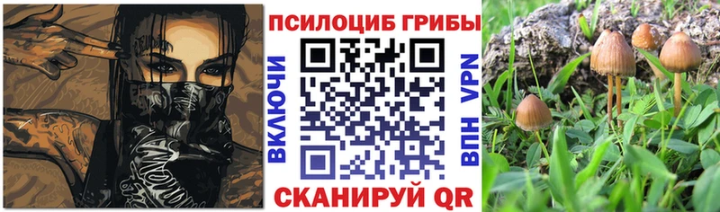 купить наркоту  Обнинск  Псилоцибиновые грибы мицелий 