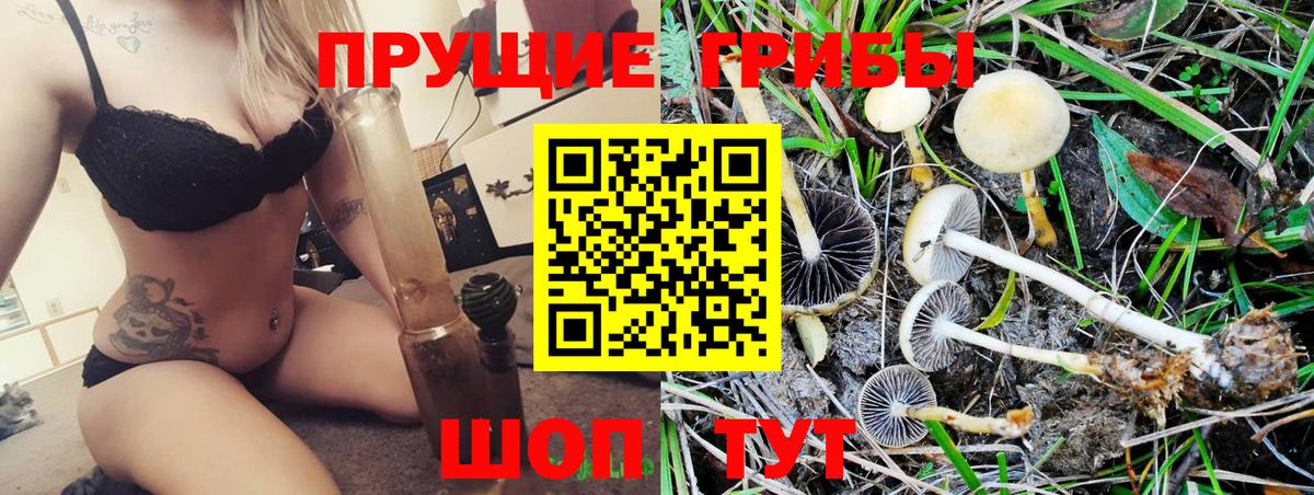Псилоцибиновые грибы мицелий Обнинск