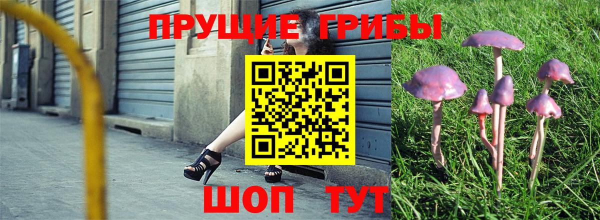 Псилоцибиновые грибы GOLDEN TEACHER  купить наркотики цена  Обнинск  Вход с VPN 