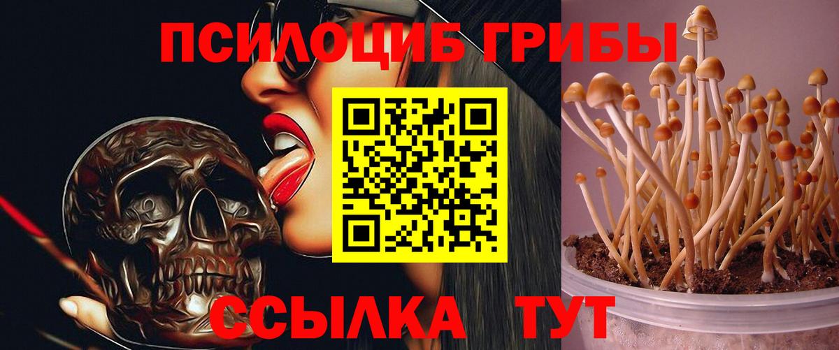 Обнинск  Гарик  Масло THC  Вход с VPN  Купить  MDMA  ГАШИШ  COCAIN  НБОМе  МАРИХУАНА  APVP  МЕФ 